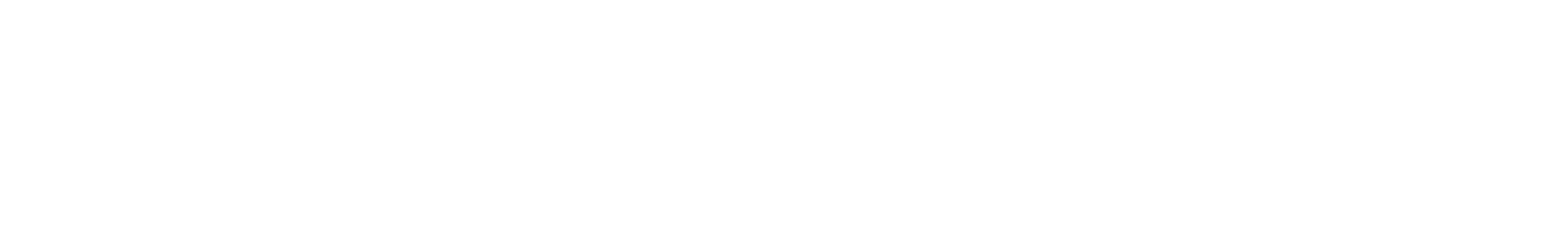 https://22215056.fs1.hubspotusercontent-na1.net/hubfs/22215056/nuevologo-blanco.png
